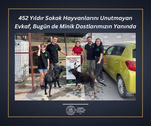 452 Yıldır Sokak Hayvanlarını Unutmayan Evkaf, Bugün de Minik Dostlarımızın Yanında