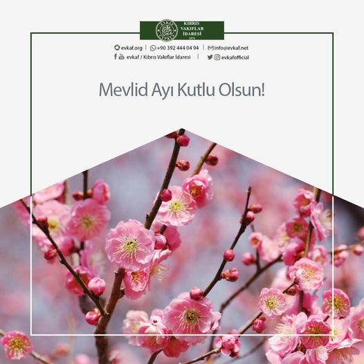 Mevlid Ayı Kutlu Olsun.