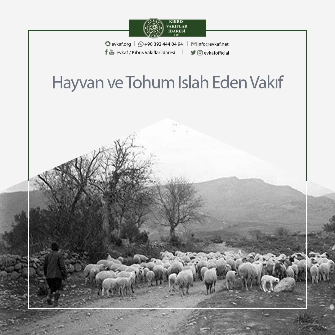 Hayvan ve Tohum Islah Eden Vakıf.