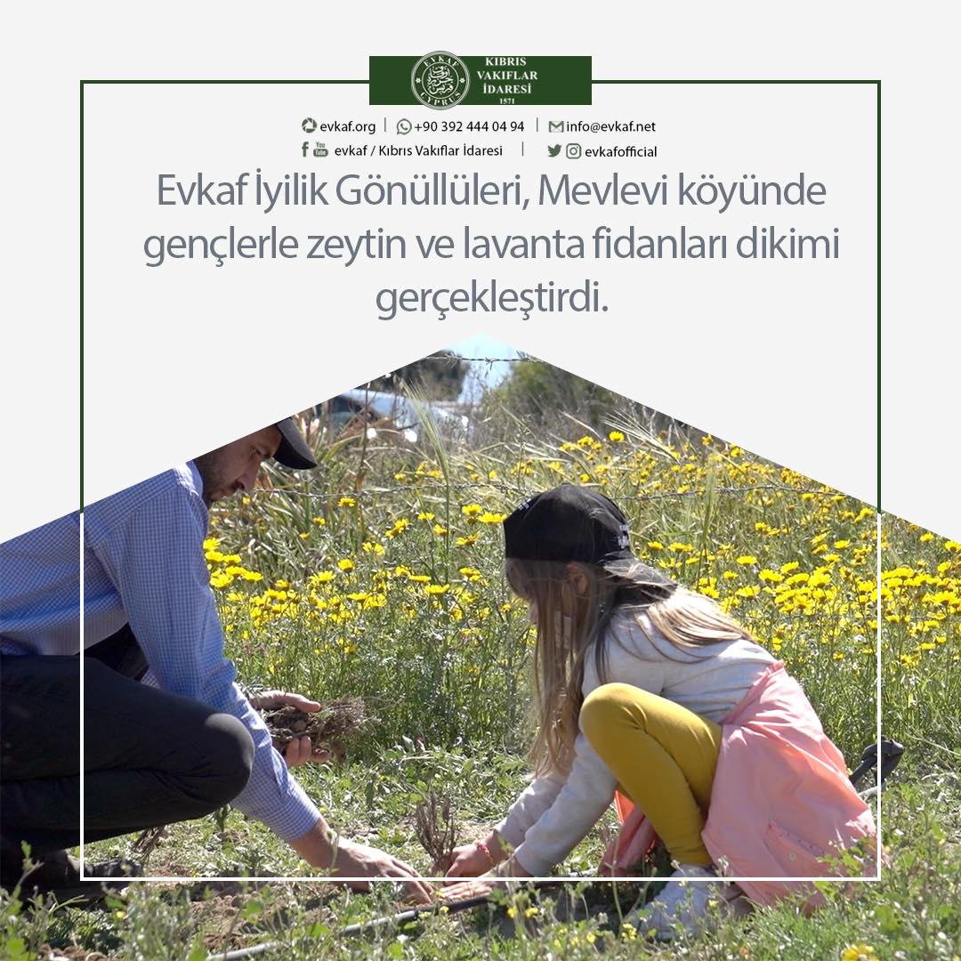 FİDAN DİKİMİ.