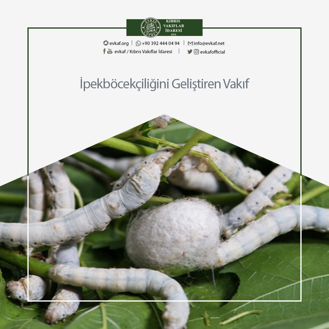 İpekböcekçiliğini Geliştiren Vakıf