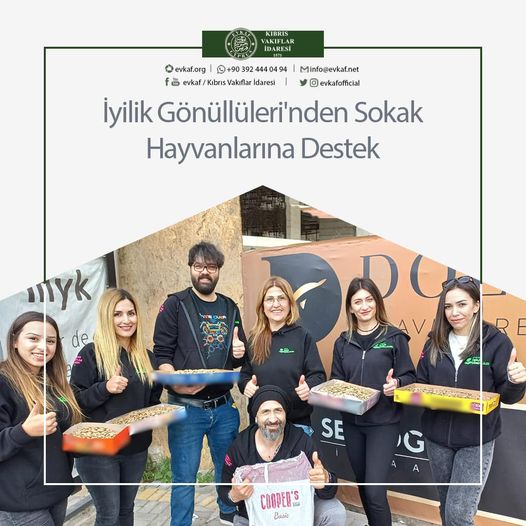 İyilik Gönüllüleri'nden Sokak Hayvanlarına Destek.