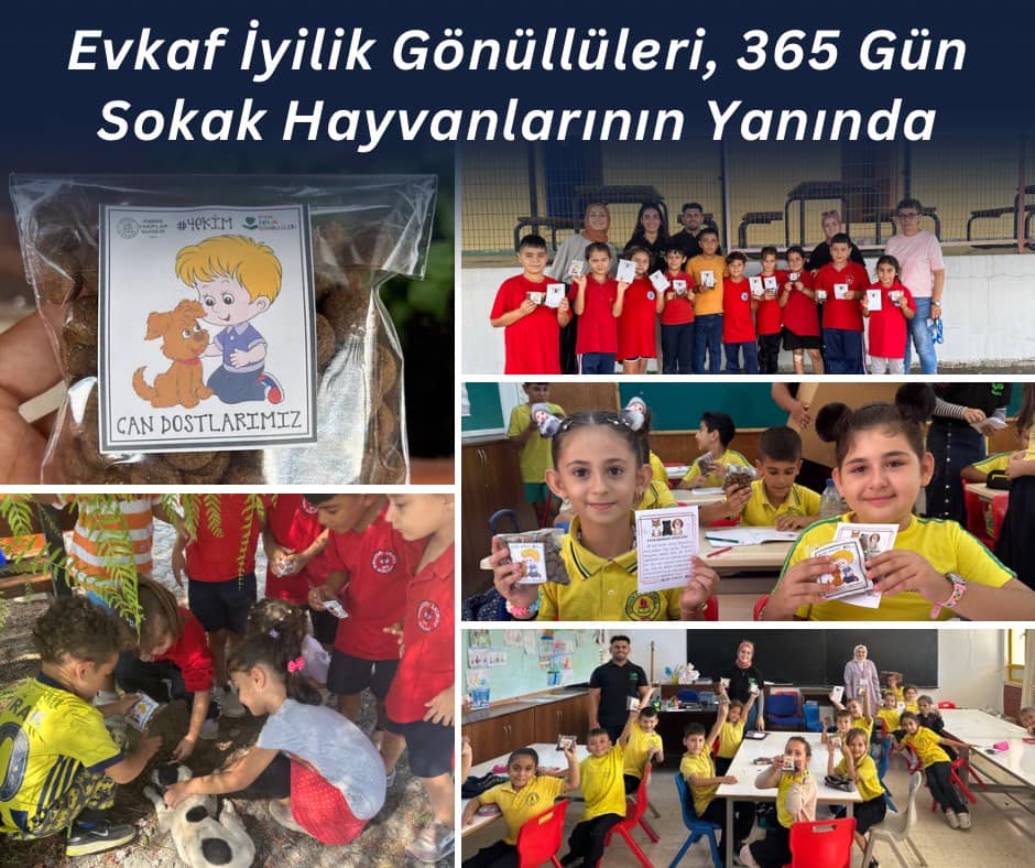 Evkaf İyilik Gönüllüleri, 365 Gün Sokak Hayvanlarının Yanında!