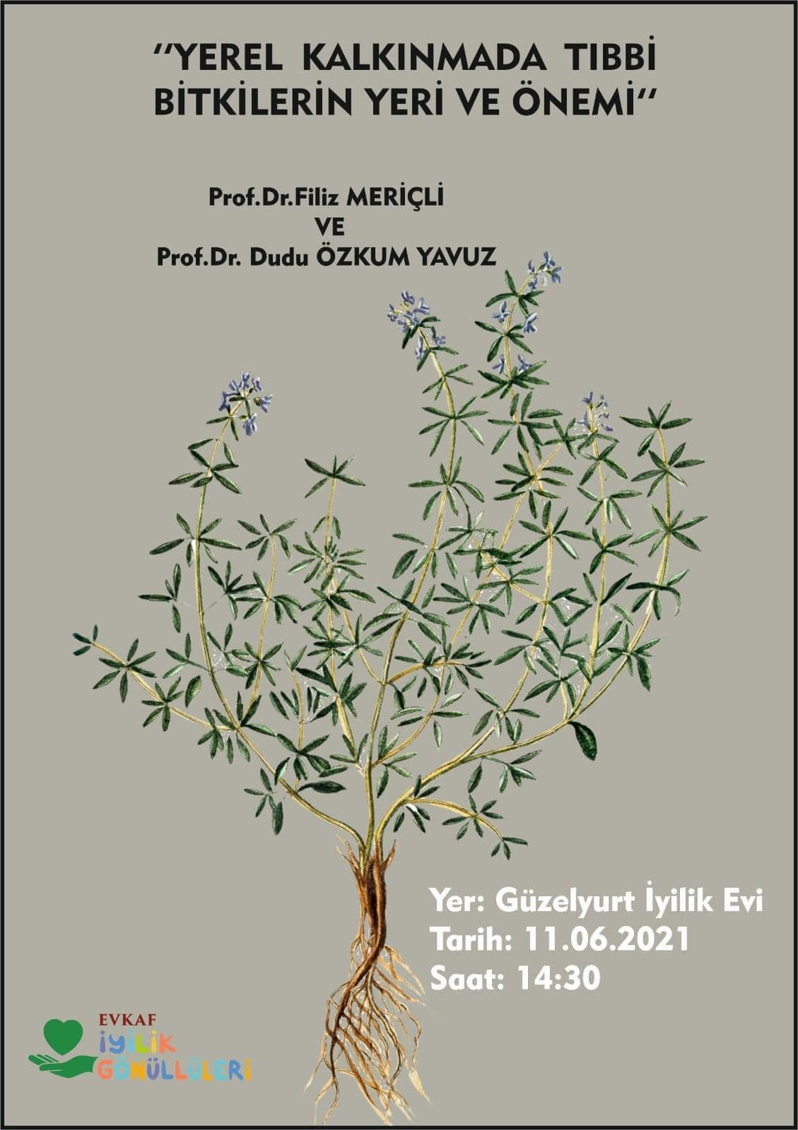 Seminar on the place and importance of medicinal plants in local development.
