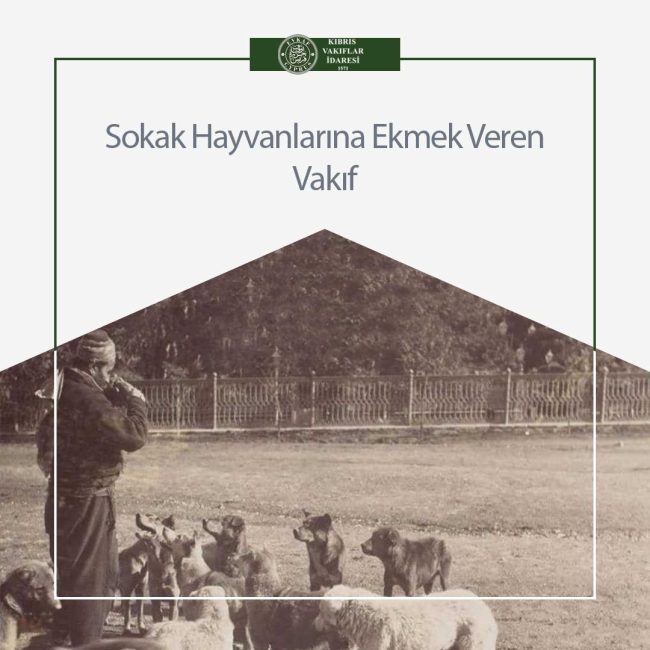 Sokak Hayvanlarına Ekmek Veren Vakıf.