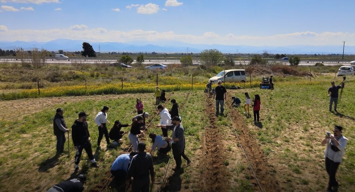 We brought Olive and Lavender Saplings together with Soil and Nature.